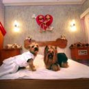 모텔러브 이미지