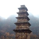 봉감모전5층석탑 옆 이미지