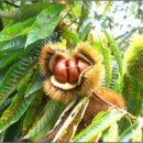 참좋은인연 이미지