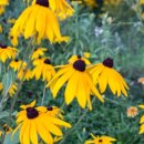 엠스클럽의성(18홀) 이미지