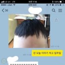 남성헤어컷 Daum카페