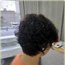 일산로 636번길 | 어반트렌드, 맞춤형 스타일링과 두피 케어 서비스 체험 후기