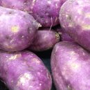 인동초등학교 병설유치원 이미지