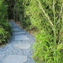 루아네 하우스 이미지