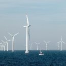 그린오션 이미지