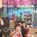 울진봄날애햇살 이미지