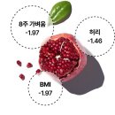 ㈜내츄럴바이오 | 여성호르몬 다이어트 방법 에스토겐정