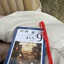 2025 선등거리페스티벌(차없는거리) | 치앙마이 2025 러이끄라통 CAD 리얼 후기 : 라푼젤축제 / 꿀팁 및 정보 모음 / 절망편-식중독 엔딩 / 람...