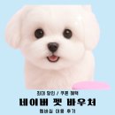 펫푸드24 | 네이버 펫 바우처 바잇미 하림펫푸드 요요쉬 후기