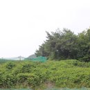 칠곡 노석리 마애불상군 이미지