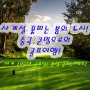 서초동 산36-6(데이터센터 앞) | 중국 쿤밍 골프 여행 왜 춘성cc일까?세계 100대 코스 완벽 정복 가이드