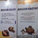 대보자원 | [충남_공주] 겨울공주 군밤축제 음식/ 주차/ 즐길 거리 솔직후기