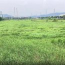 생태와대구 이미지