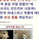 용달농장 이미지