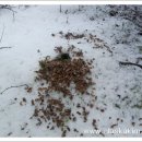 다람쥐마을 이미지