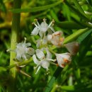 타쉬켄트 이미지