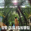 웰빙요가(오전) | 가볼 만한 곳 ♡ 미리내힐빙클럽_ 수목원 같은 힐링 찜질방 후기, 점심·음료 포함 패키지 제대로 즐기기