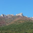 금산분재펜션 이미지