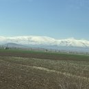 카토피아 이미지