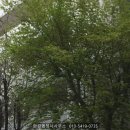 도화2,3동 행정복지센터 이미지