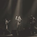 싸이플라워