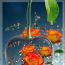 (주)한주 이미지