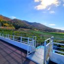 땅끝펜션민박 이미지