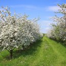 행정사이승호사무소 이미지