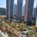 유니시티만경부동산중개사무소 이미지