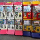 이수조 | 강릉 아기랑 갈만한곳 강릉 아쿠아리움