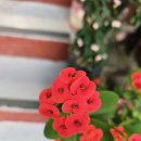 산고운펜션 이미지