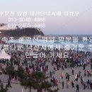 속초문어왕