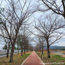 정동1교 이미지