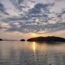 님 바래기 이미지