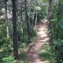 성흥산 솔바람길 이미지