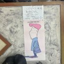 완도읍-15 | [완도여행][목포여행] 색다른 여행, 완도갈래 목포갈래? 둘다요.