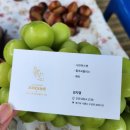 코코농원 이미지