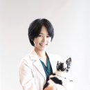 Dr. dog 동물영상의료센터 이미지