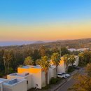 516로 | 제주도 서귀포 숙소 추천 벨룸리조트 오션테라스 조식, 수영장 온수풀 후기