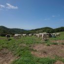 다물목장 이미지