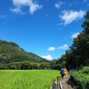 수만리마애석불 등산로입구 이미지