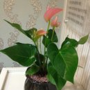 미래치과기공소 이미지