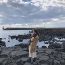 안덕면 대평 소기왓로 이미지