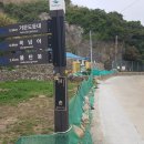 서도 여객선 선착장 Daum카페