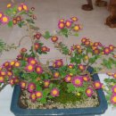 노원구청사 이미지