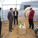 김동수농장 이미지