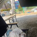별내코코