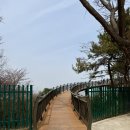 (주)스카이워크 | 인천 수봉공원 전망대 수봉스카이워크 즐기기 주차장 후기