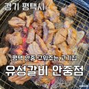 세븐일레븐 평택안중안현로점 | 평택 안중 맛집 &#39;유성갈비&#39; 고기집