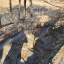 또올래캠핑장 이미지